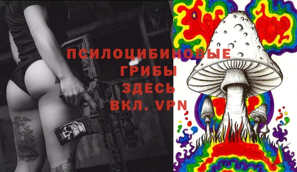 кристаллы Осинники