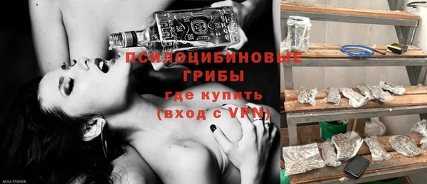 прущая мука Осташков